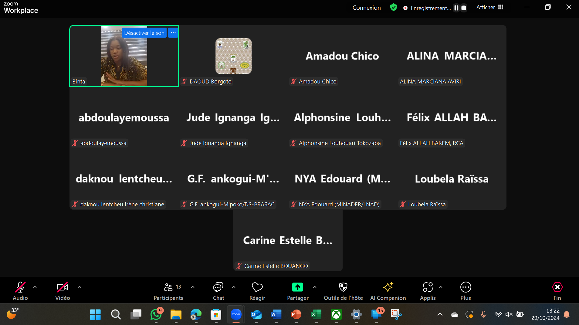 Capture décran reunion zoom 2024 10 29 132307